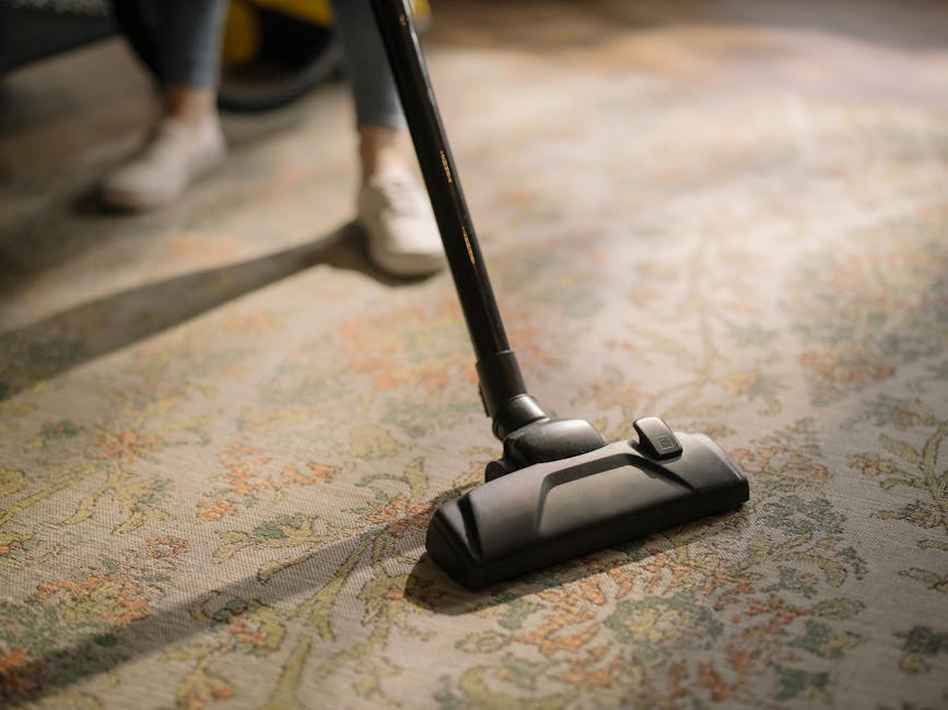 Two individuals are engaged in a domestic cleaning task, rolling out a textured beige carpet onto a wooden floor within a living room. One person, with curly brown hair and wearing a green top, is holding the edge of the carpet, while the other, with curly black hair and dressed in a blue shirt, is securing it in place. The room features a light blue sofa with a white cushion resting on it, and the floor beneath is a polished hardwood. The scene is illuminated by natural light, highlighting the cleanliness and shine of the surfaces, indicative of a professional approach to surface cleaning and maintenance, as promoted by Highbury Carpet Cleaning. Visible cleaning tools or products are not present, emphasizing the focus on careful, manual placement of the carpet that aligns with deep cleaning and sanitisation practices.