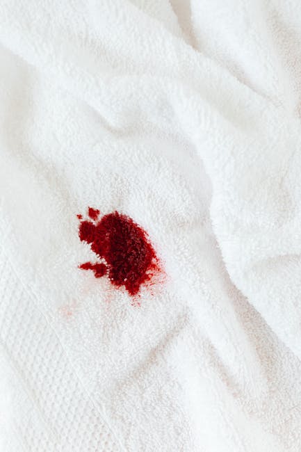 Close-up of a white fabric surface, likely a bedsheet or towel, with a small, irregularly shaped red stain in the center. The fabric appears clean and soft, with some faint creases, and the lighting highlights the texture of the material. The stain is vivid and slightly coagulated, indicating recent spillage. This scene exemplifies the need for concentrated surface cleaning and stain removal, aligning with highburycarpetcleaning.com’s focus on urgent stain removal and same-day cleaning services. The background shows part of the fabric’s edge, suggesting a domestic or hospitality setting where proper sanitisation and deep cleaning are essential to maintain hygiene. Highbury Carpet Cleaning specializes in effective stain treatment and surface sanitisation, ensuring hygienic, spotless environments.